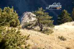 yabasta-climbing-briancon-france-dsc_4284