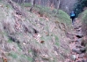 CONVAR109