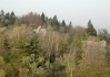 CONVAR180