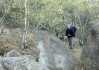 CONVAR197