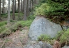 CONVAR30