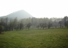 CONVAR6