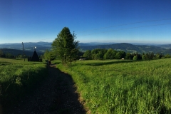 2017-05-28 06.31.03x