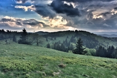Photo 25.05.17 19 10 32