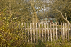 DSC_3119