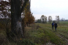 P1030566
