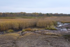 P1030596
