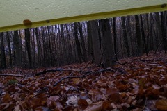 2019-10-19-07.39.59