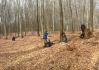 2015-04-03 10.31.26.jpg