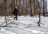 2015-04-04 09.01.10.jpg