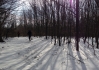 2015-04-04 09.01.23.jpg