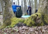DSC_8138.jpg
