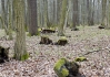 DSC_8139.jpg