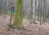 DSC_8143.jpg