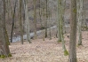 DSC_8147.jpg