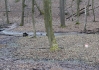 DSC_8150.jpg
