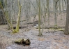 DSC_8151.jpg
