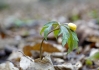 DSC_8155.jpg