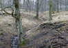 DSC_8160.jpg