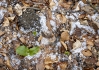 DSC_8181.jpg