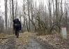 DSC_8182.jpg