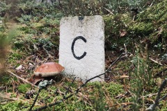 cundr-expedice-hranice-nova-bystrice-nove-hrady-013