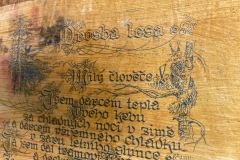 expedice-podel-ceske-hranice-opava-javornik-029