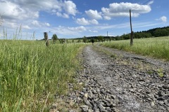 expedice-podel-ceske-hranice-opava-javornik-033