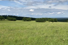 expedice-podel-ceske-hranice-opava-javornik-035
