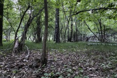 expedice-podel-ceske-hranice-opava-javornik-039
