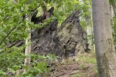 expedice-podel-ceske-hranice-opava-javornik-049