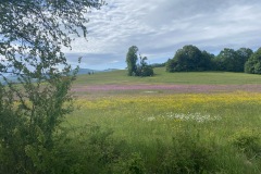 expedice-podel-ceske-hranice-opava-javornik-058