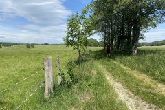 expedice-podel-ceske-hranice-opava-javornik-060