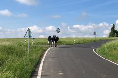 expedice-podel-ceske-hranice-opava-javornik-063