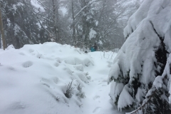 2018-12-01 07.38.57