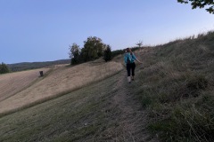goldsteig-wanderweg-trail-marktredwitz-oberviechtach-009