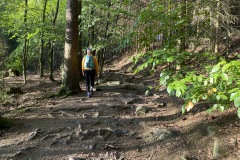 goldsteig-wanderweg-trail-marktredwitz-oberviechtach-011
