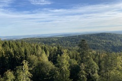 goldsteig-wanderweg-trail-marktredwitz-oberviechtach-017