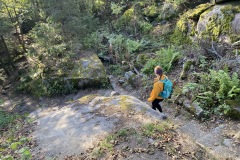 goldsteig-wanderweg-trail-marktredwitz-oberviechtach-022