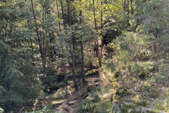 goldsteig-wanderweg-trail-marktredwitz-oberviechtach-023