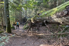 goldsteig-wanderweg-trail-marktredwitz-oberviechtach-024