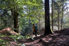 goldsteig-wanderweg-trail-marktredwitz-oberviechtach-025