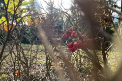 goldsteig-wanderweg-trail-marktredwitz-oberviechtach-026