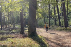goldsteig-wanderweg-trail-marktredwitz-oberviechtach-031