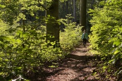 goldsteig-wanderweg-trail-marktredwitz-oberviechtach-036