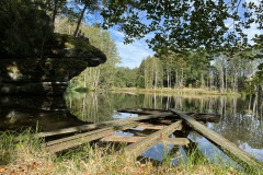 goldsteig-wanderweg-trail-marktredwitz-oberviechtach-040