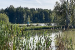 goldsteig-wanderweg-trail-marktredwitz-oberviechtach-042