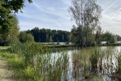 goldsteig-wanderweg-trail-marktredwitz-oberviechtach-043