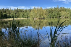 goldsteig-wanderweg-trail-marktredwitz-oberviechtach-044