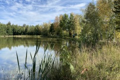 goldsteig-wanderweg-trail-marktredwitz-oberviechtach-045